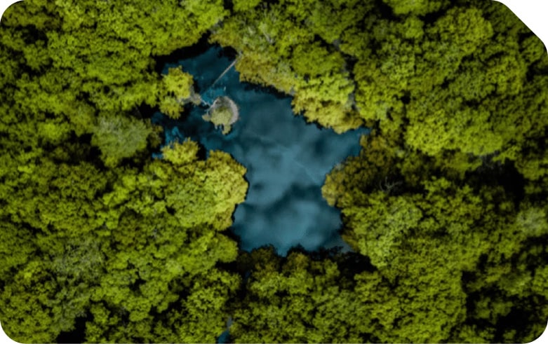 Servicios Modern Workplace